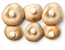 Rubber Gloves
